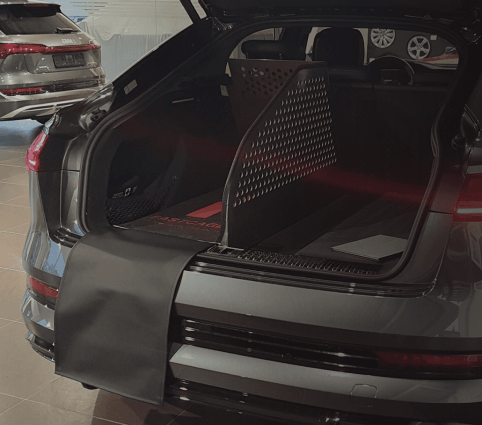 Hundebur Audi e-tron Sportback