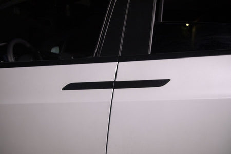 Tesbros Chrome Delete Kit Tesla Model X
