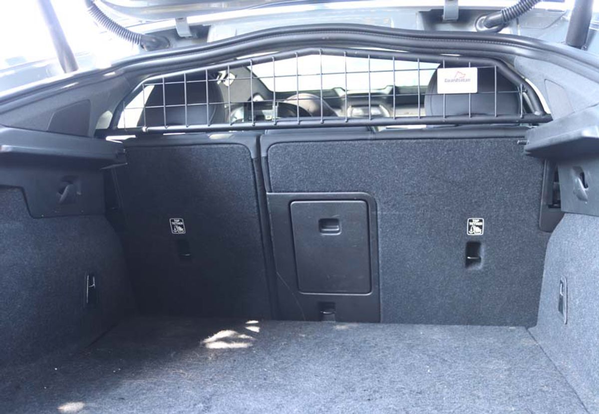 Polestar 2 2020-> Hundegitter m/u skillevegg