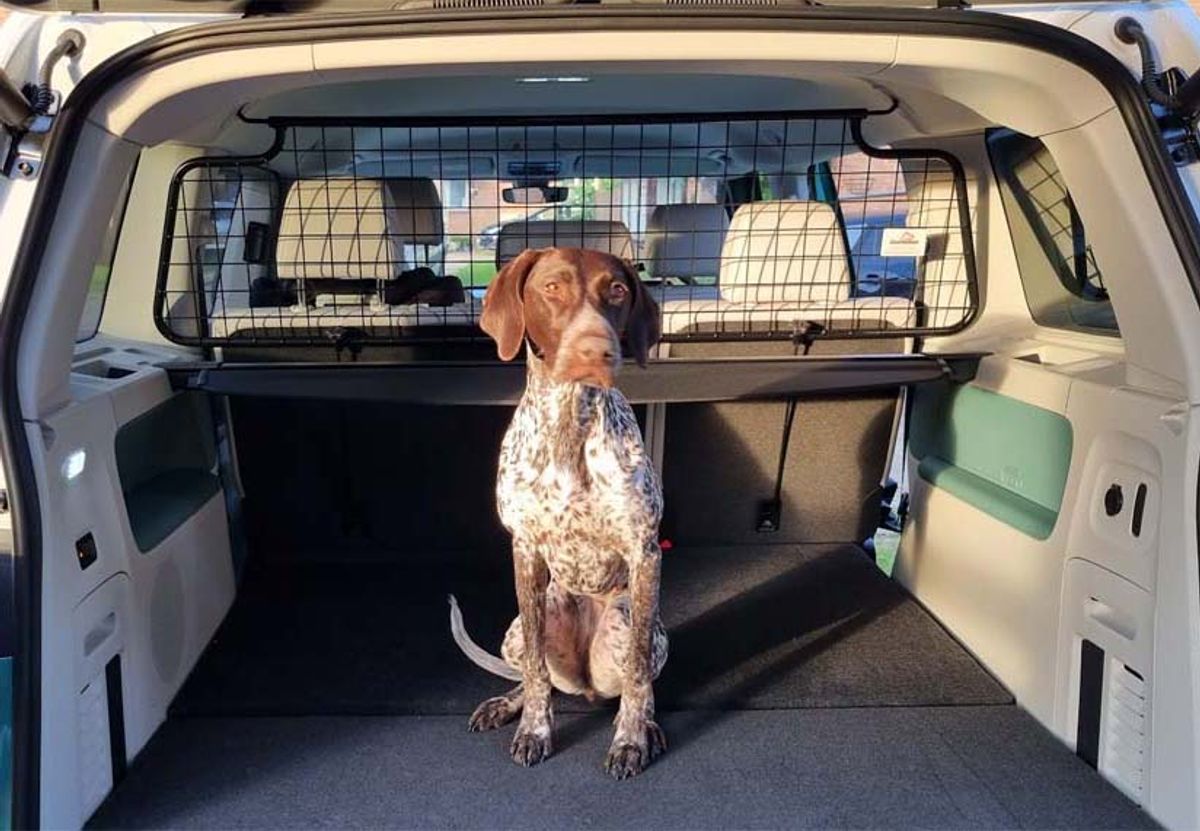 Volkswagen ID.Buzz 2022-> Hundegitter m/u skillevegg. Stål