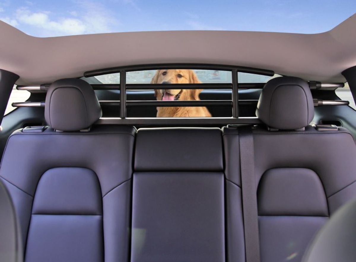 Hunde- og lastegitter Tesla Model Y