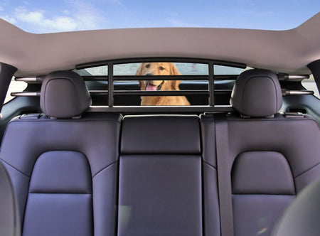 Hunde- og lastegitter Tesla Model Y